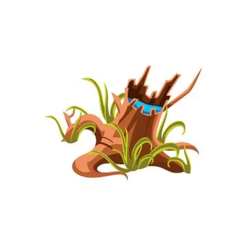 Old Stump With Water Stock Illustration