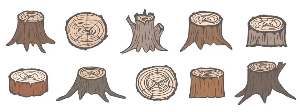 Old stumps of different trees set Stock Illustration