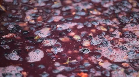 Old Style Making Wine, Grapes Being Pressed To Create Must and Pomace Video stock 8835580