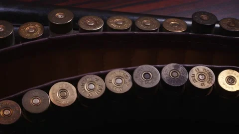 Old Style Rifles and Bullets 7 動画素材 151939764