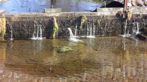 Old style stone bridge through a calm small river during the day Видео 150864134