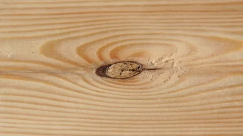 'Old style' wood processing: brushing and painting Stock Footage 8567670