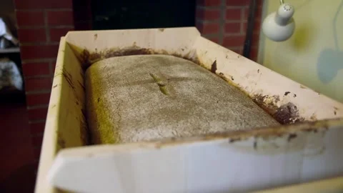 Old Style Wooden Bread Trough with a Dough of Loaf of Bread Before Baking. Video stock 306401050