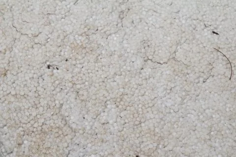 Old styrofoam background Stock Photos