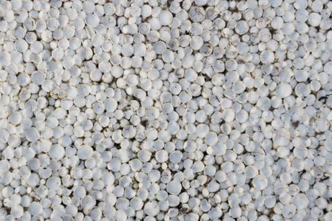 Old styrofoam plate Foto stock