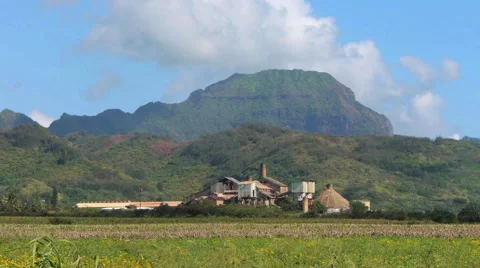 Old Sugarcane Plantation Factory Stock Footage 1055498