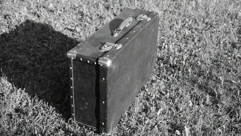 Old suitcase on the grass, black and white Stock Footage 110839519