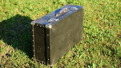 Old suitcase on the grass Stock Footage 110839441