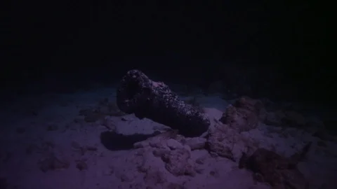 Old Sunken Canon  Stock Footage 94524420