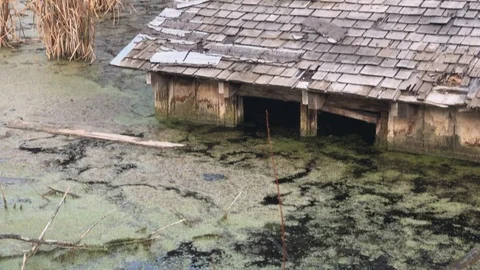 Old Sunken House Stock Footage 97956735