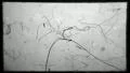 Old Super 8mm Film Leader Texture Effect Loop HD Footage
