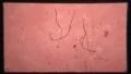 Old Super 8mm Film Leader Texture Effect HD Footage
