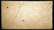 Old Super 8Mm Film Leader Texture Sepia Effect Stock Footage