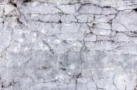 Old surface of cement. Stock Photos