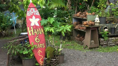 Old surfboard hana Stock Footage 55887596