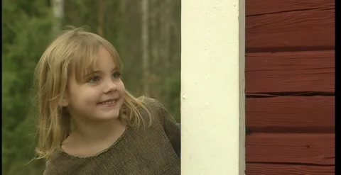 OLD SWEDEN Stock Footage 345723237