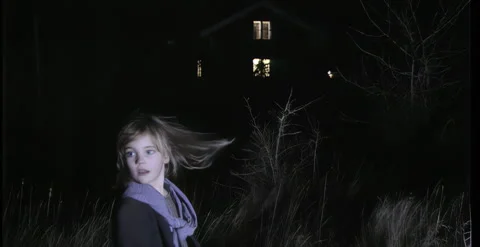 OLD SWEDEN Stock Footage 345962868
