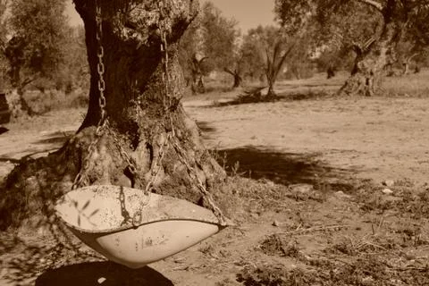 Old swing to dream Stock Photos