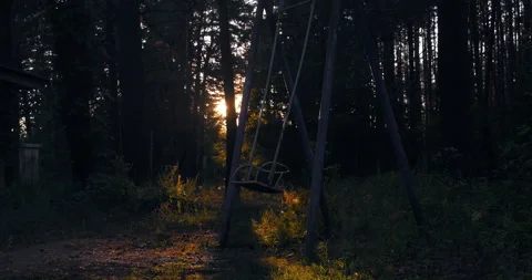 Old Swing in the Forest Sunrise Stock Footage 146674920