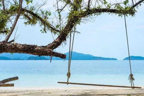 Old swing hanging on a tree on sandy beach, blue sea and sky background. Stock-Fotos