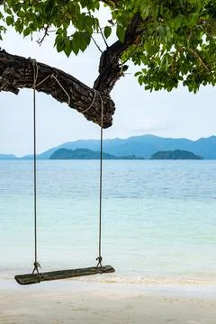 Old swing hanging on a tree on sandy beach, blue sea and sky background. Stock-Fotos