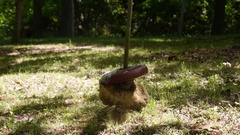 Old Swing in Nature Stock Footage 81228625