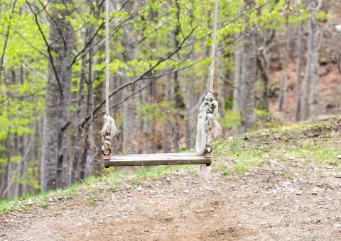 The old swing ropes Foto stock