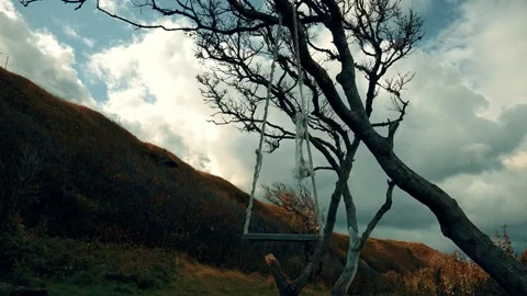 Old swing on the shore of the Sea of Okhotsk. Iturup Island. Stock Footage 142626341