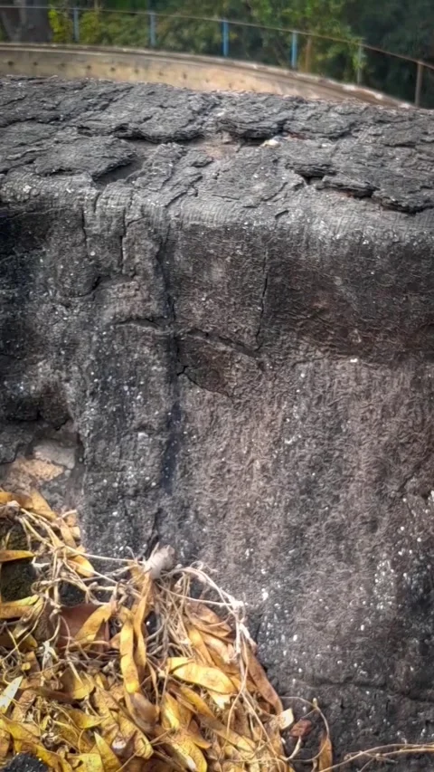Old tar felt on parapet wall Video stock 237523904