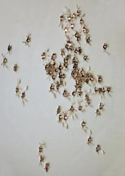 Old target Stock Photos