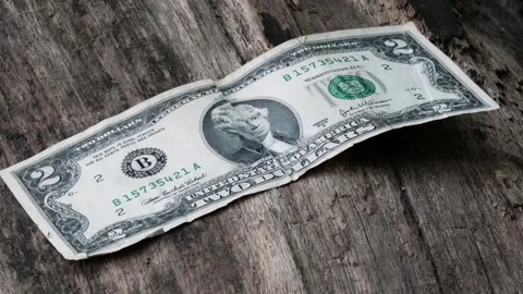 Old tattered two-dollar bill lies on a log. Stock Footage 302843032