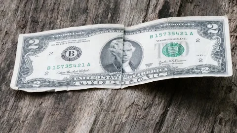 An old, tattered two-dollar bill lies on a log. Stock Footage 302843035