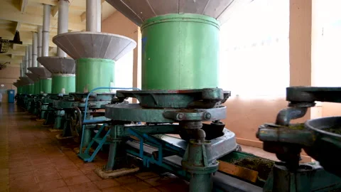 Old tea factory. Leaf grinding machine. Video stock 130530894
