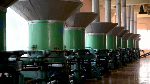 Old tea factory. Leaf grinding machine. Video stock 130530917