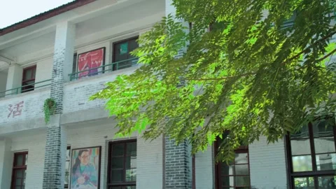 The old teaching building Stock Footage 235265084