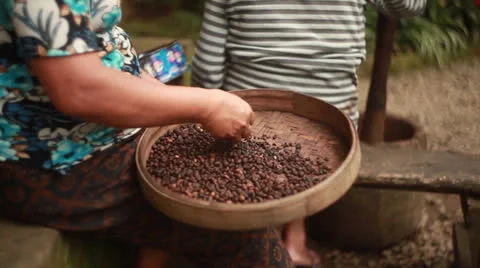 Old technology farming coffee Stock Footage 26238762