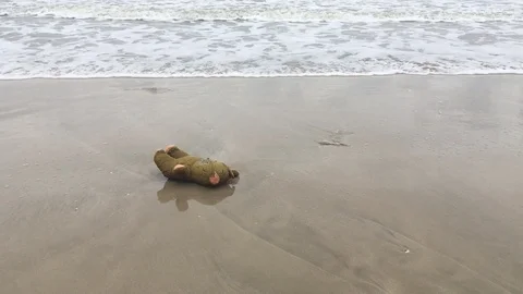Old teddy bear abandon on the beach Stock-Footage 90967120
