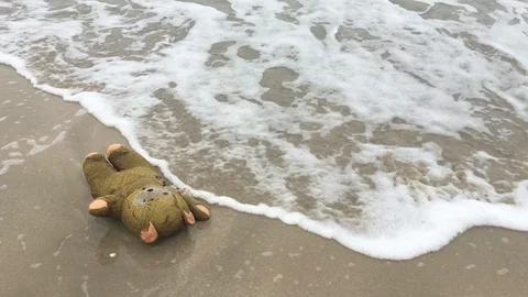 Old teddy bear abandon on the beach Stock-Footage 90967162