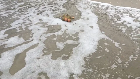 Old teddy bear abandon on the beach 動画素材 90967271
