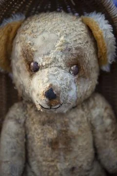 Old teddy bear Stock Photos