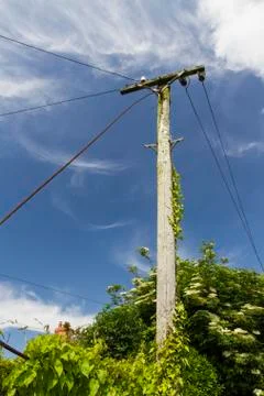 Old telegraph pole Stock Photos