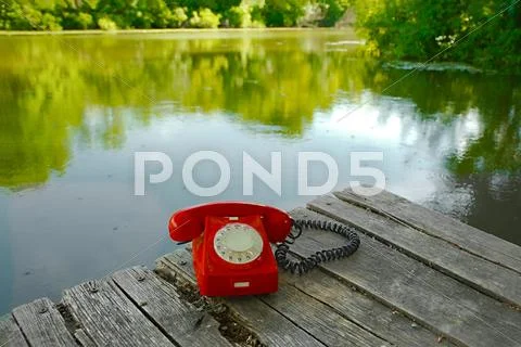 Old Telephone In Nature