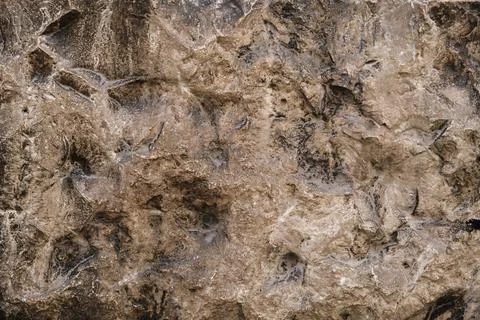 Old textured concrete wall for background Stock Photos