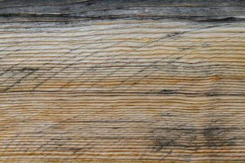 Old textured pine board Stock Photos