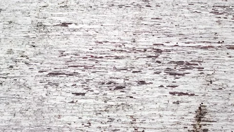 Old textured rough board with peeling cracked white paint, close-up Stock Footage 159783744