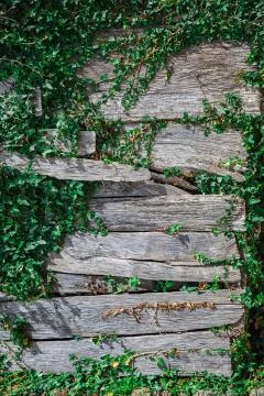 Old textured wall background Stock-Fotos
