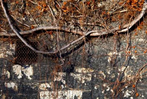 Old Textured Wall Stock Photos