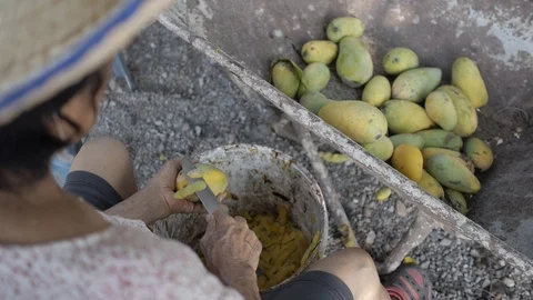 Old Thai Lady Peels Mango Stock Footage 122396857