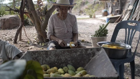Old Thai Lady Peels Mango Stock Footage 122397022