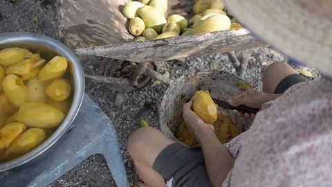 Old Thai Lady Peels Mango Stock Footage 122431047
